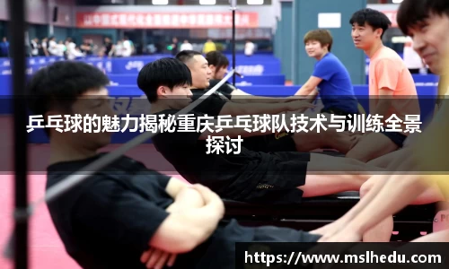 乒乓球的魅力揭秘重庆乒乓球队技术与训练全景探讨